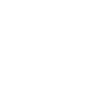 Grupo Camelo